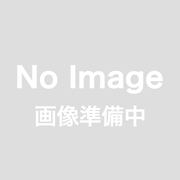 ホルベイン ストロングメディウム グロスH504　２０号チューブ　１１０ｍｌ