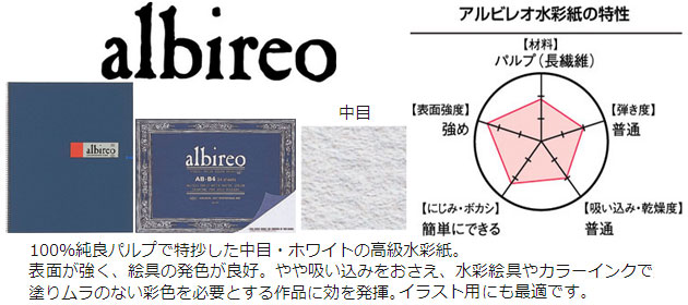 全商品オープニング価格 albireo水彩紙 <br>スケッチブック ブロックタイプ B4サイズ アルビレオ 画帳 写生帳 写生帖 